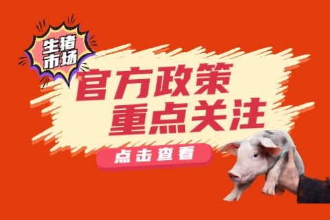 明后天将收储3.31万吨、放储0.91万吨！官方年内已收储24.51万吨、放储21.14万吨