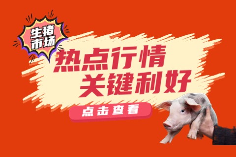终于等到了！农业农村部重磅发声！释放两大利好！猪价一飞就是3年内最高水平！