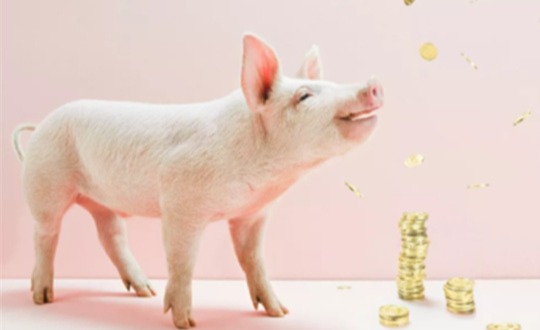 怎样管理养猪场和奶牛场