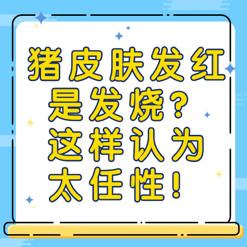 猪皮肤发红是发烧？这样认为太任性！