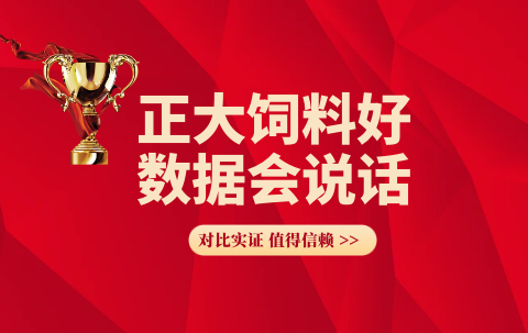 正大饲料好 数据会说话(82)—正大582E肉牛精料补充料，西门塔尔杂交牛头均月增重利润585.9元