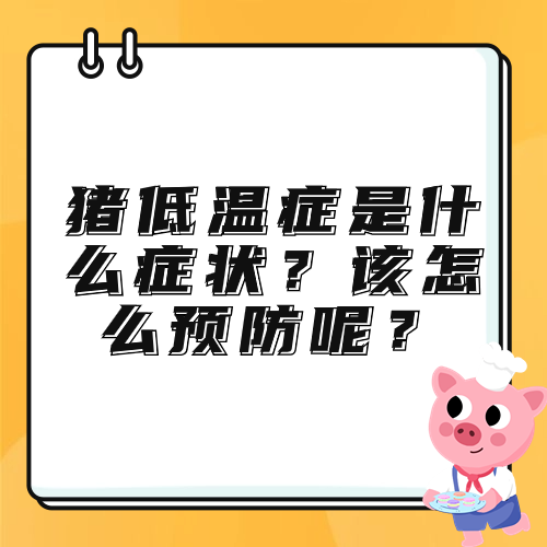 猪低温症是什么症状？该怎么预防呢？