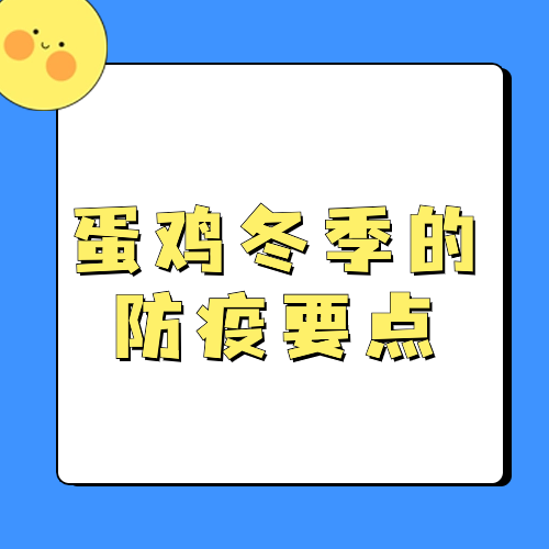 蛋鸡冬季的防疫要点