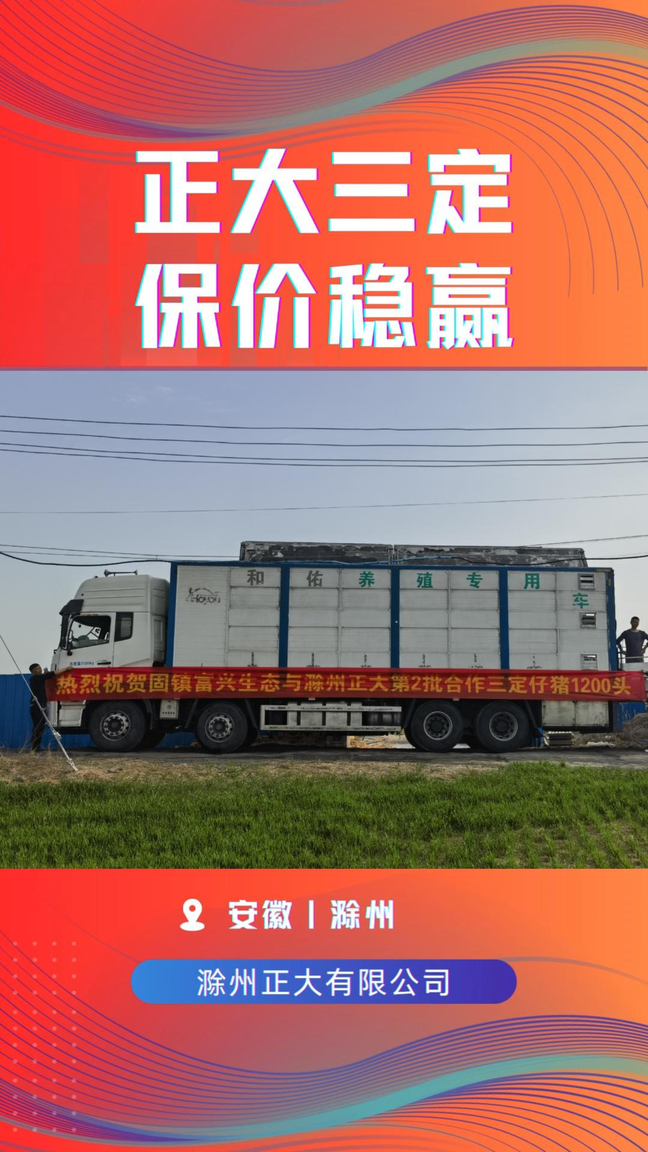 扑朔迷离的猪价不用慌，正大三定来帮忙——热烈庆祝滁州正大与固镇富兴生态第二批合作