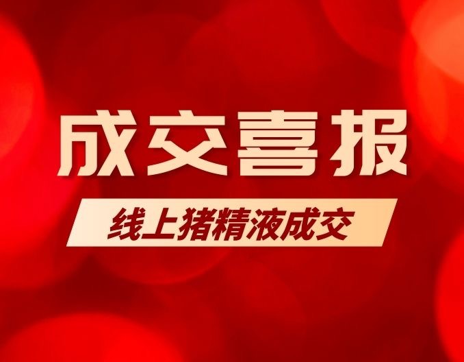 成交喜讯｜猪博士线上猪精液成交39份