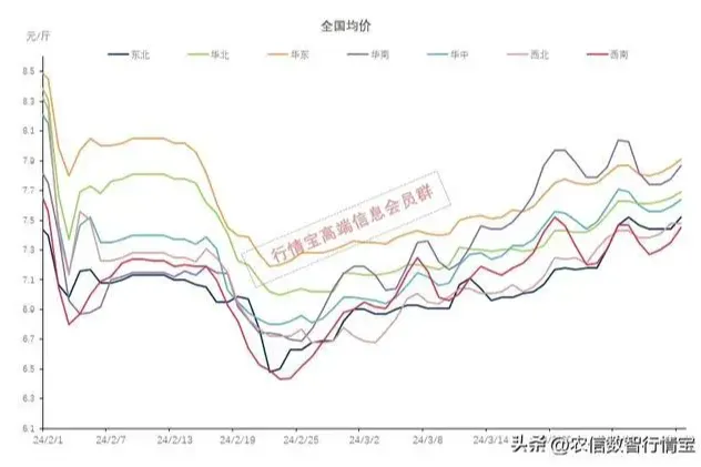 【最新猪价】猪价3连涨！4月2日猪价突变！