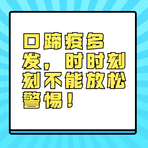 口蹄疫多发，时时刻刻不能放松警惕！