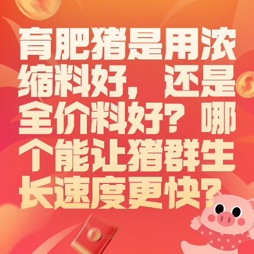 育肥猪是用浓缩料好，还是全价料好？哪个能让猪群生长速度更快？