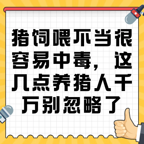 猪饲喂不当很容易中毒，这几点养猪人千万别忽略了