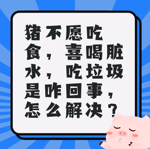 猪不愿吃食，喜喝脏水，吃垃圾是咋回事，怎么解决？