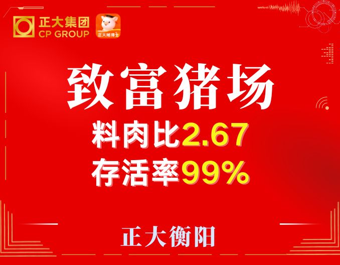 热烈祝贺致富猪场结栏料肉比2.67存活率99%，连续四批做到料肉比存活率双节约