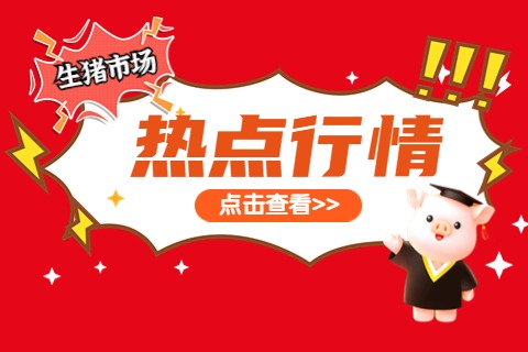 农业农村部：4月第3周全国仔猪平均价格环比涨1.8% 生猪均价下跌0.4%