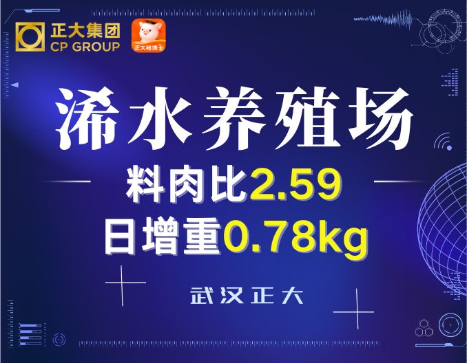 浠水养殖场养殖佳绩分享，料肉比2.59