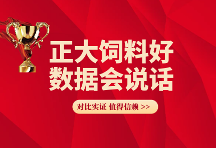 正大饲料好 数据会说话(100)—正大589+186+玉米肉羊配合饲料，头均月增重利润最高达114元