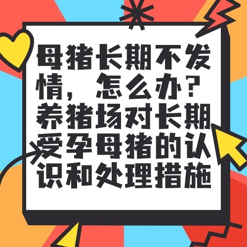 母猪长期不发情，怎么办？养猪场对长期受孕母猪的认识和处理措施