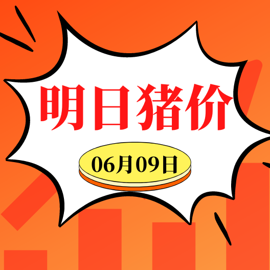 6.9明日猪价早知道,全国最新猪价信息