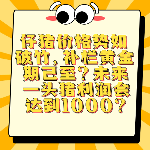 仔猪价格势如破竹，补栏黄金期已至？未来一头猪利润会达到1000？