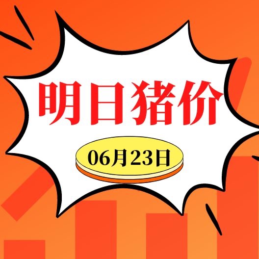 6.23明日猪价早知道,全国最新猪价信息