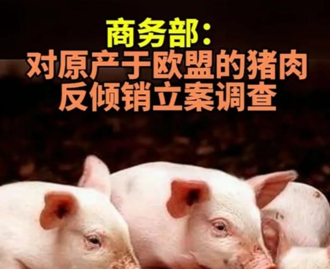 大咖聊猪市：欧盟猪肉反倾销调查影响