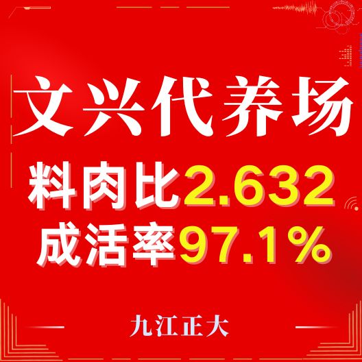 热烈祝贺九江正大深合项目文兴代养场生产效率创佳绩！