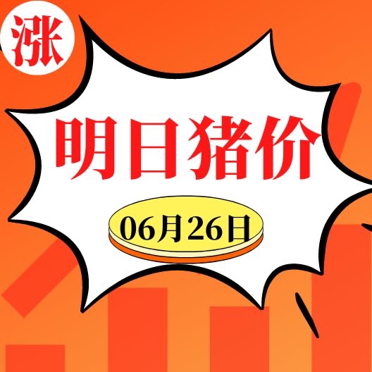 涨！涨！涨！猪价全面上涨！6.26明日猪价早知道,全国最新猪价信息