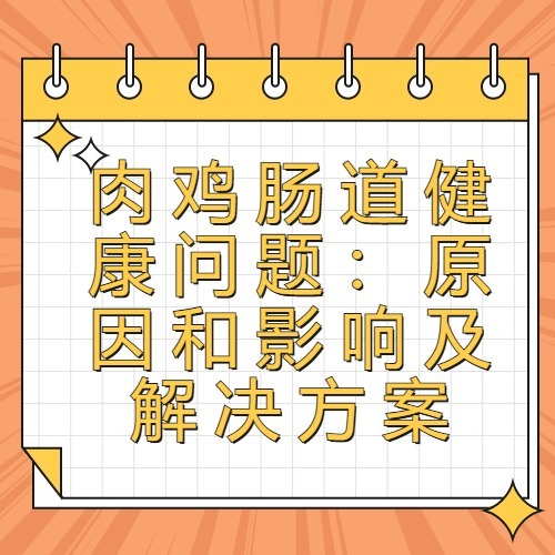 肉鸡肠道健康问题：原因和影响及解决方案