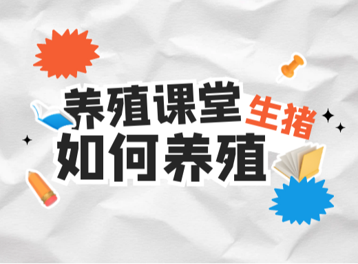 流产的母猪该如何处理？流产母猪何时配种才合适？