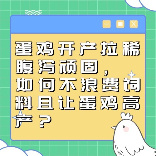 蛋鸡开产拉稀腹泻顽固，如何不浪费饲料且让蛋鸡高产？