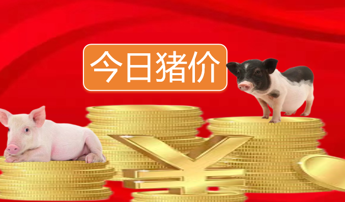 【今日猪价】7月25日猪价“冲锋上涨”！猪价猛烈涨价刷新更高点