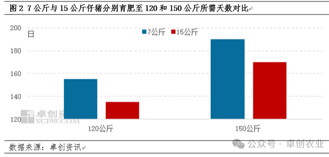 仔猪补栏体重或逐步升高，8-12月育肥盈利或先高后低