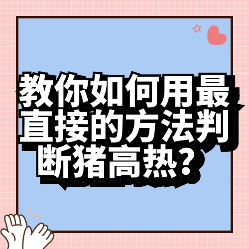 教你如何用最直接的方法判断猪高热？