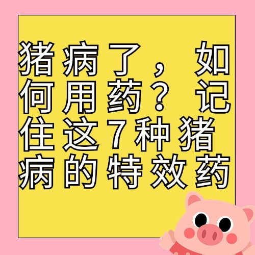 猪病了，如何用药？记住这7种猪病的特效药