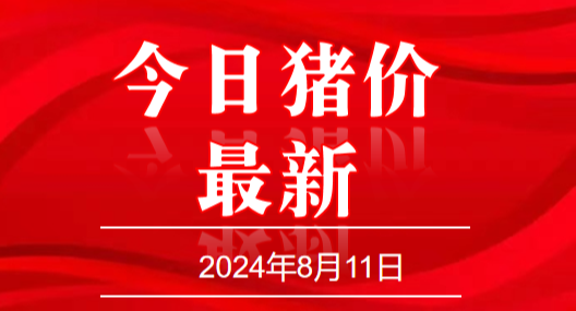 猪价“涨不停”，最高11.5元！附：8月11日生猪价格行情