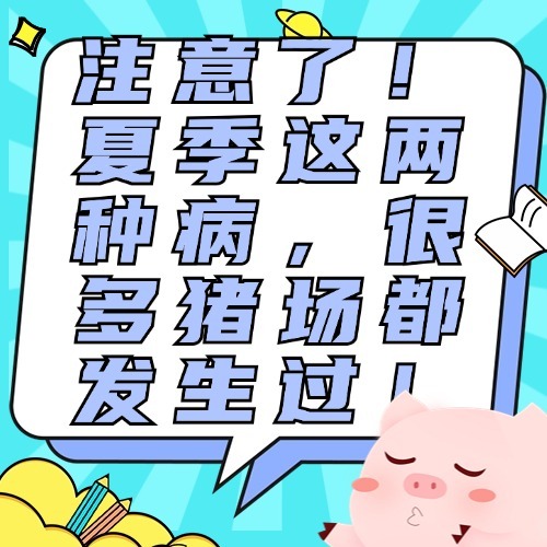 注意了！夏季这两种病，很多猪场都发生过！