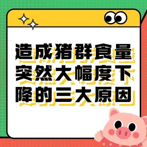 造成猪群食量突然大幅度下降的三大原因
