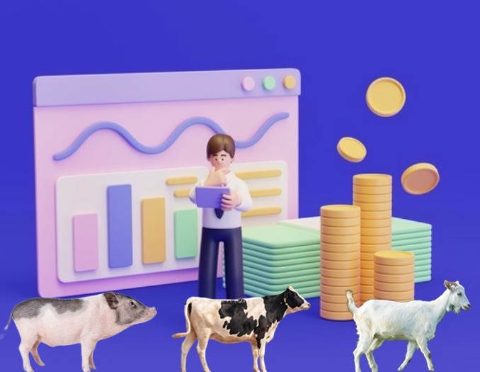 猪肉价格飙升2.3%，养殖企业迎来"金九银十"？