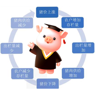 新周期预警！7月母猪存栏显著增长！全国母猪或将超过4100万头高位！