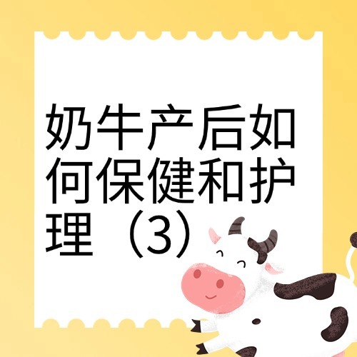 奶牛产后如何保健和护理（3）