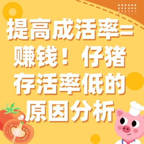 提高成活率=赚钱！仔猪存活率低的原因分析