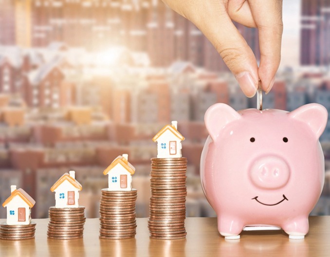 生猪价格节节攀升，行业“强现实”与“弱预期”交织