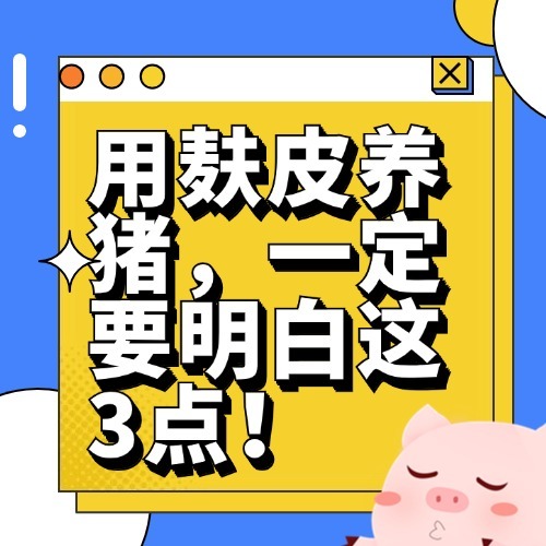 用麸皮养猪，一定要明白这3点！