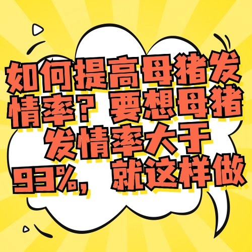 如何提高母猪发情率？要想母猪发情率大于93%，就这样做