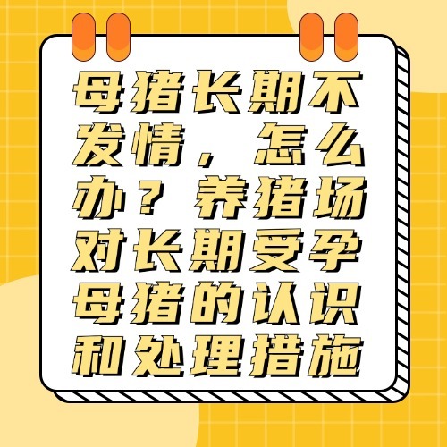 母猪长期不发情，怎么办？养猪场对长期受孕母猪的认识和处理措施