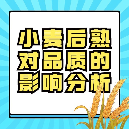 小麦后熟对品质的影响分析