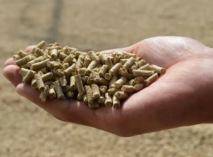 更低料肉比为您带来更高的收益