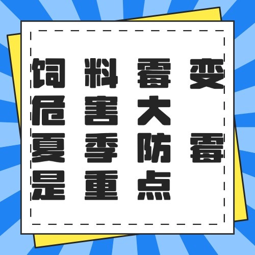 饲料霉变危害大 夏季防霉是重点