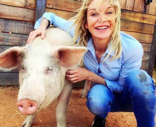 国家统计局：8月中旬猪价连续5旬上涨至20.9元/千克，大豆和豆粕价格阶段性创新低