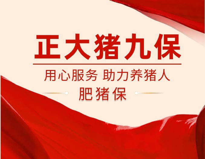 成都正大肥猪保〡高卖0.3元/公斤！祝贺眉山李老板成功售卖肥猪！