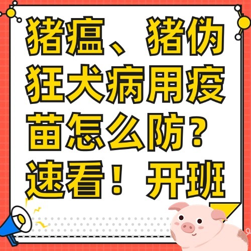 家禽肠道的功能与发病原因