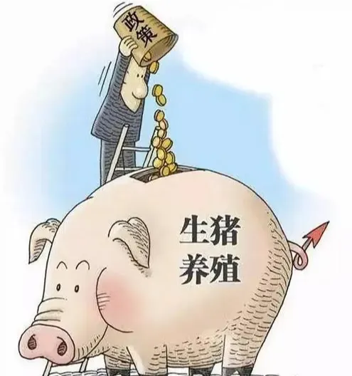 罕见！北方某地发文鼓励二次育肥，每头猪补贴150元